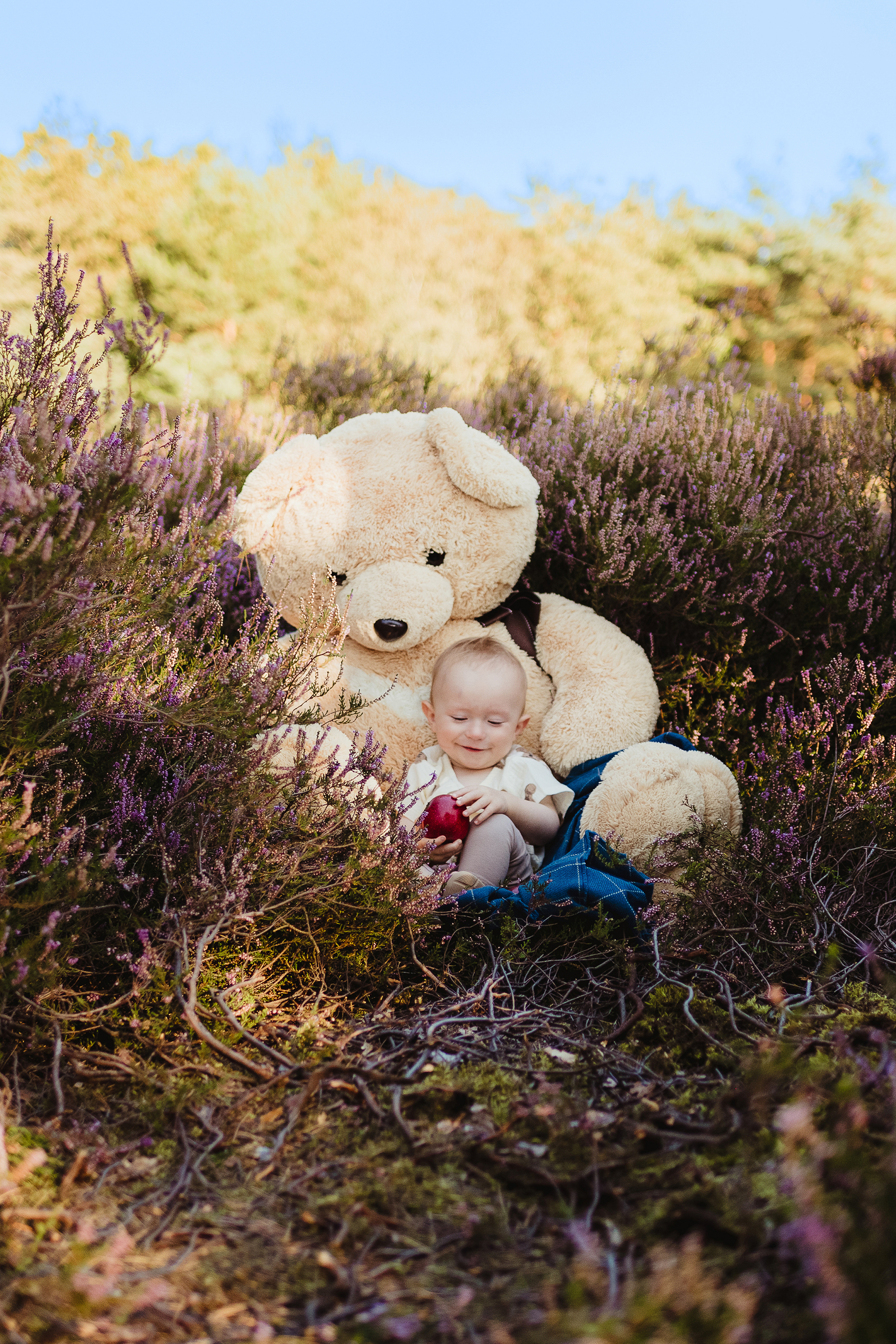 Baby-Fotoshooting — Baby mit Teddybär in der Heide