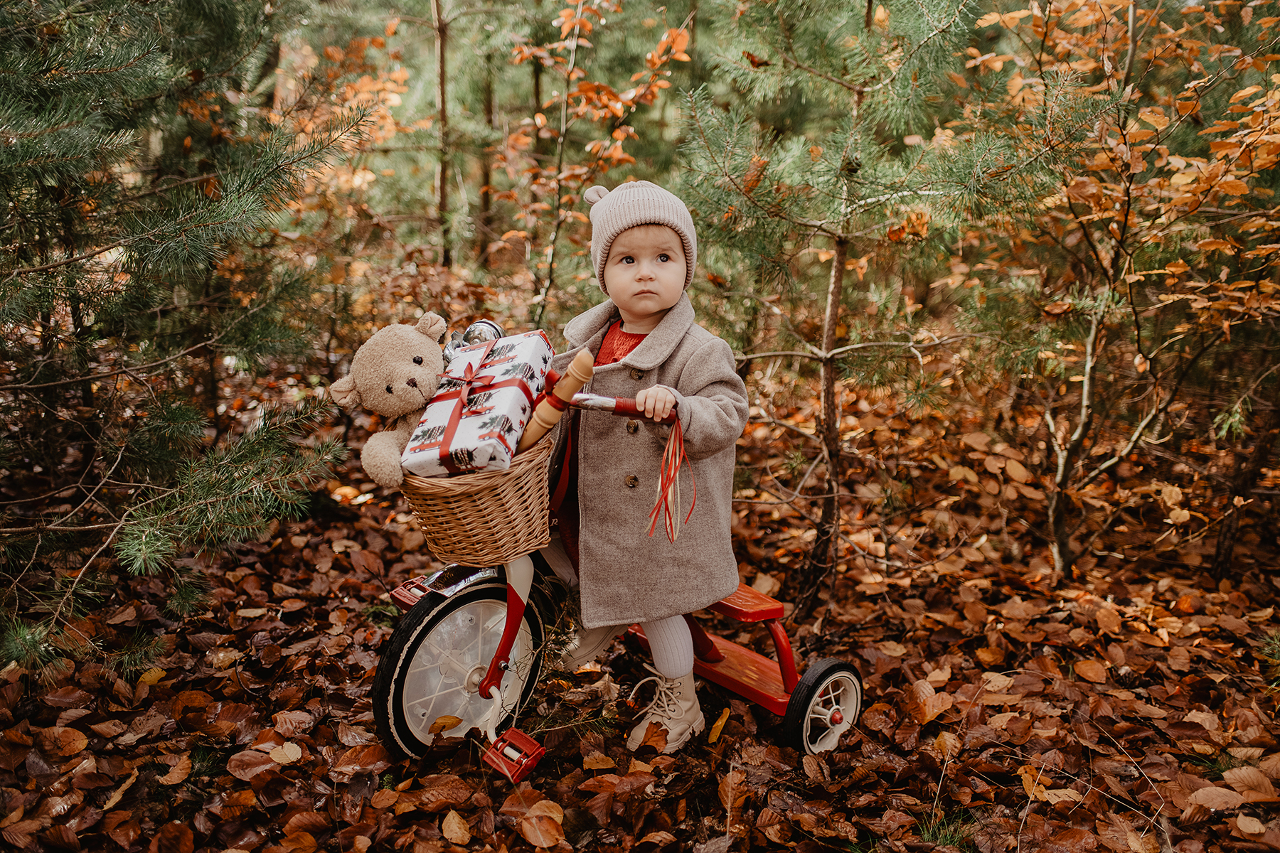 weihnachtsshooting-kind-dreirad-teddy-wald-herbst-landstuhl.jpg