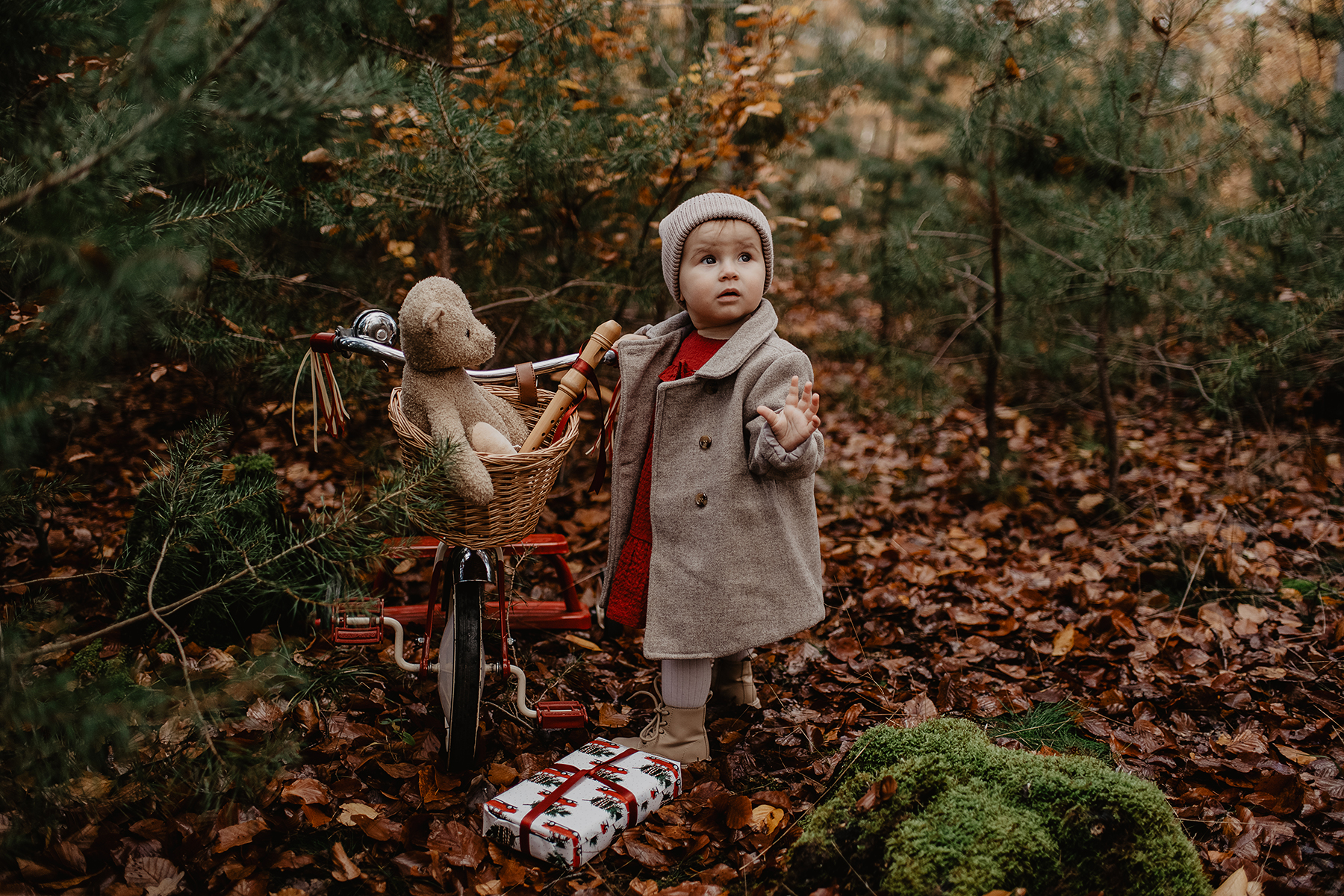 weihnachtsshooting-kind-mantel-dreirad-teddy-wald-landstuhl.jpg