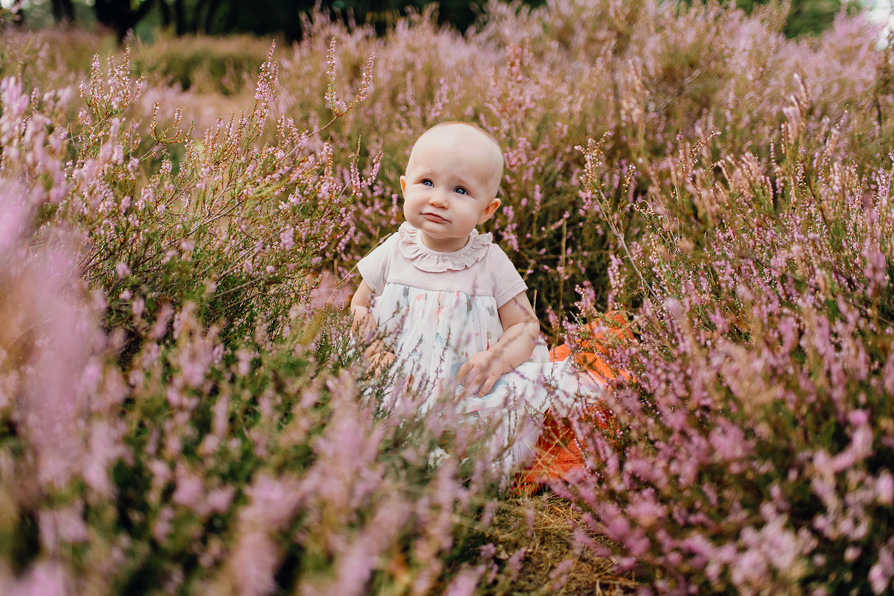 kinderfotografie-baby-heide-blumen-outdoor-landstuhl.jpg