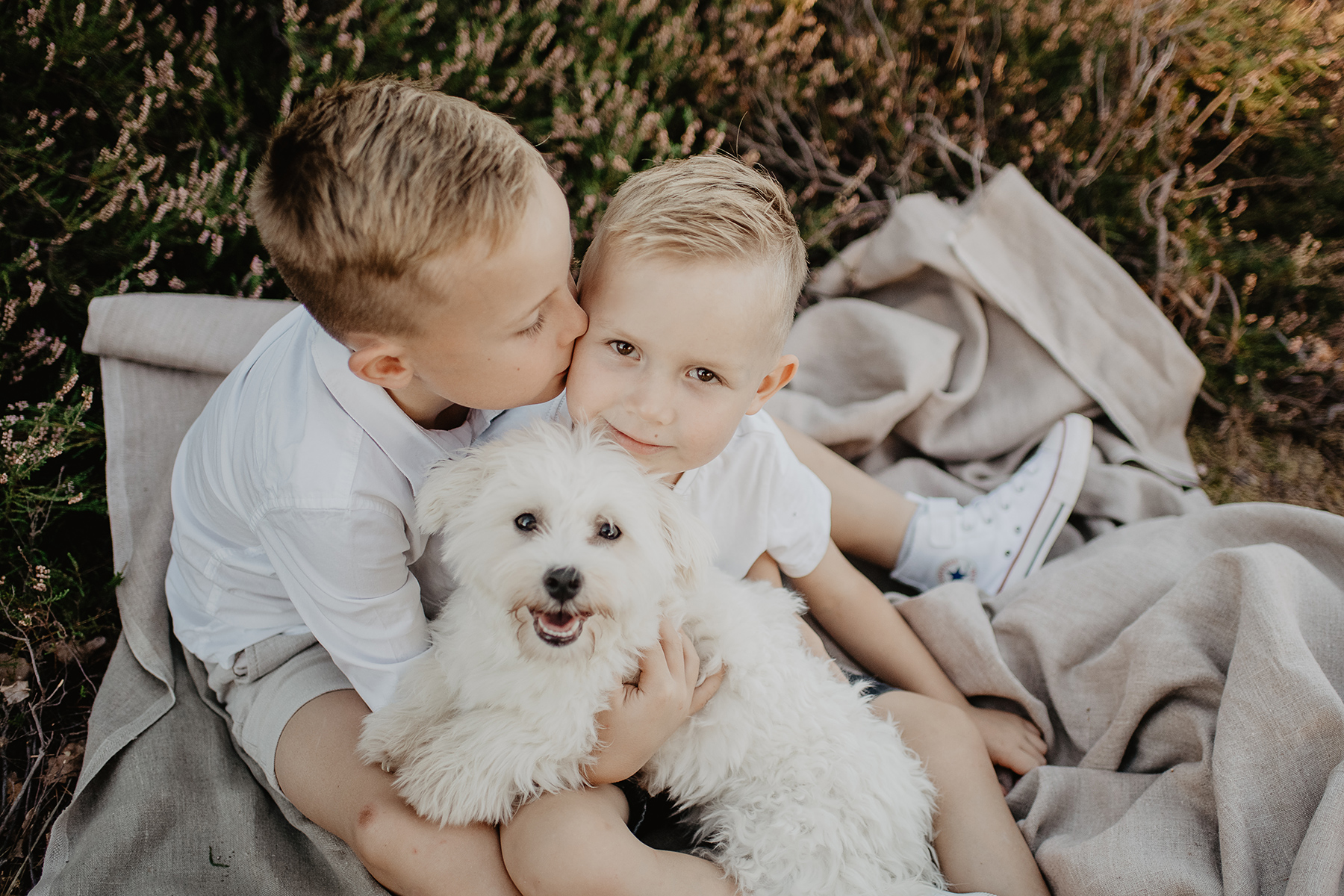 kinderfotografie-geschwister-hund-heide-kuss-landstuhl.jpg