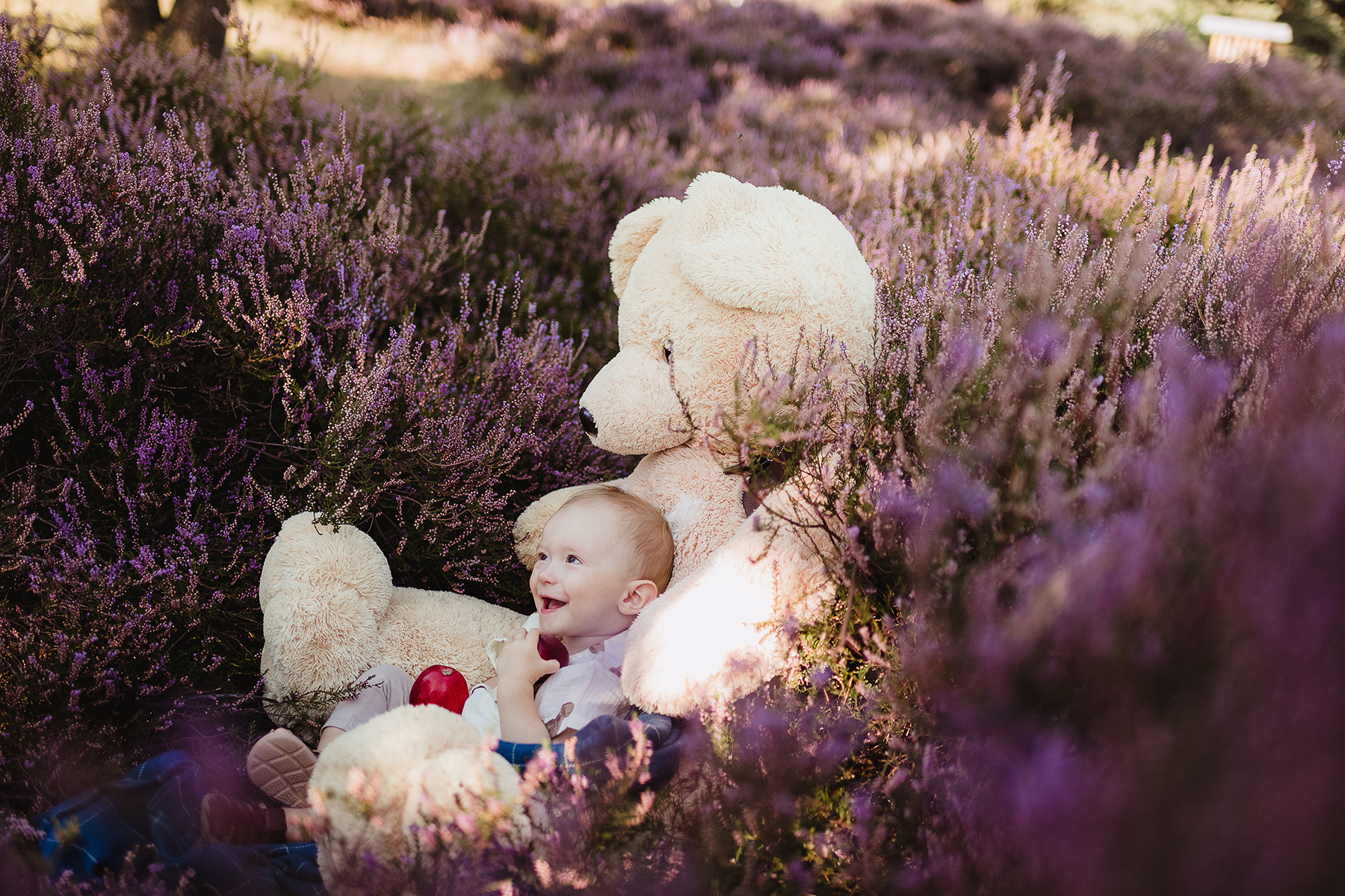 kinderfotografie-kleinkind-teddybaer-heide-apfel-landstuhl.jpg
