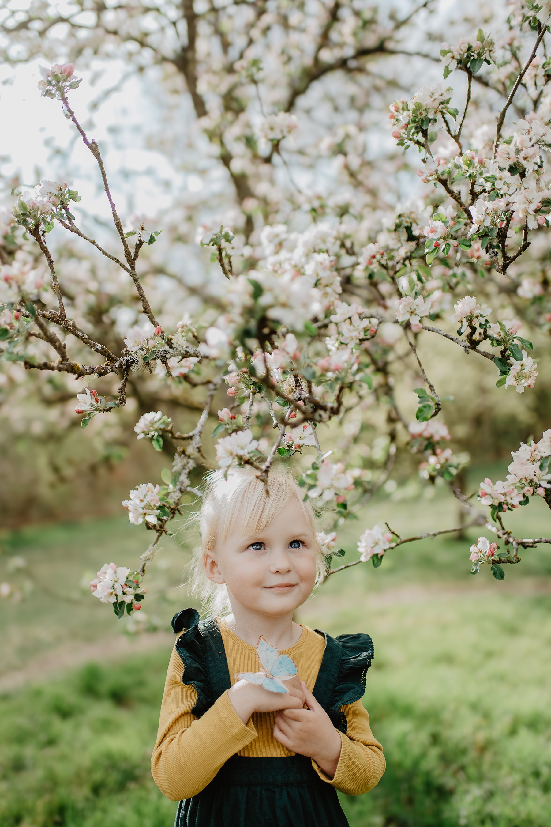 kinderfotografie-maedchen-bluetenbaum-senf-kleid-fruehling-mehlingen.jpg