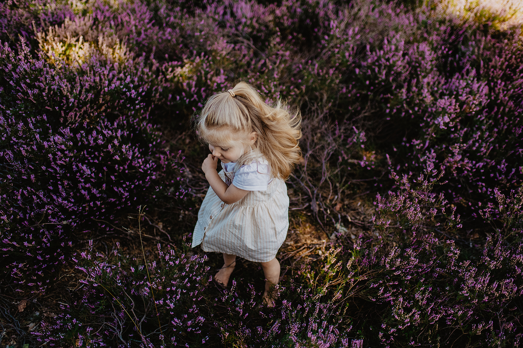 kinderfotografie-maedchen-heide-gestreiftes-kleid-outdoor-landstuhl.jpg