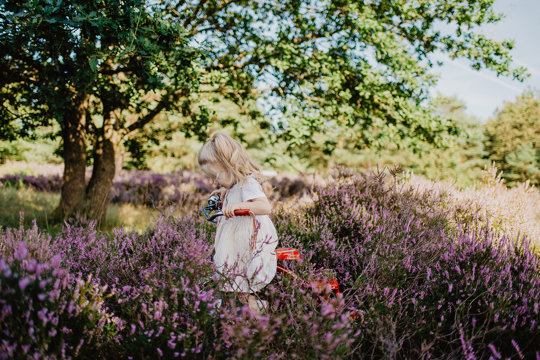 kinderfotografie-maedchen-heide-wagen-rot-outdoor-landstuhl.jpg