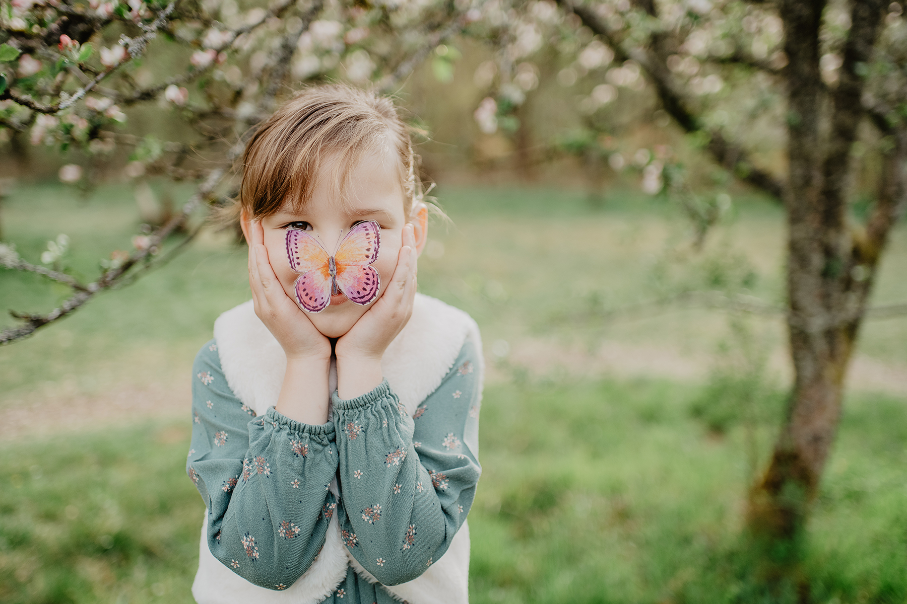 kinderfotografie-maedchen-schmetterling-bluetenbaum-fruehling-mehlingen.jpg