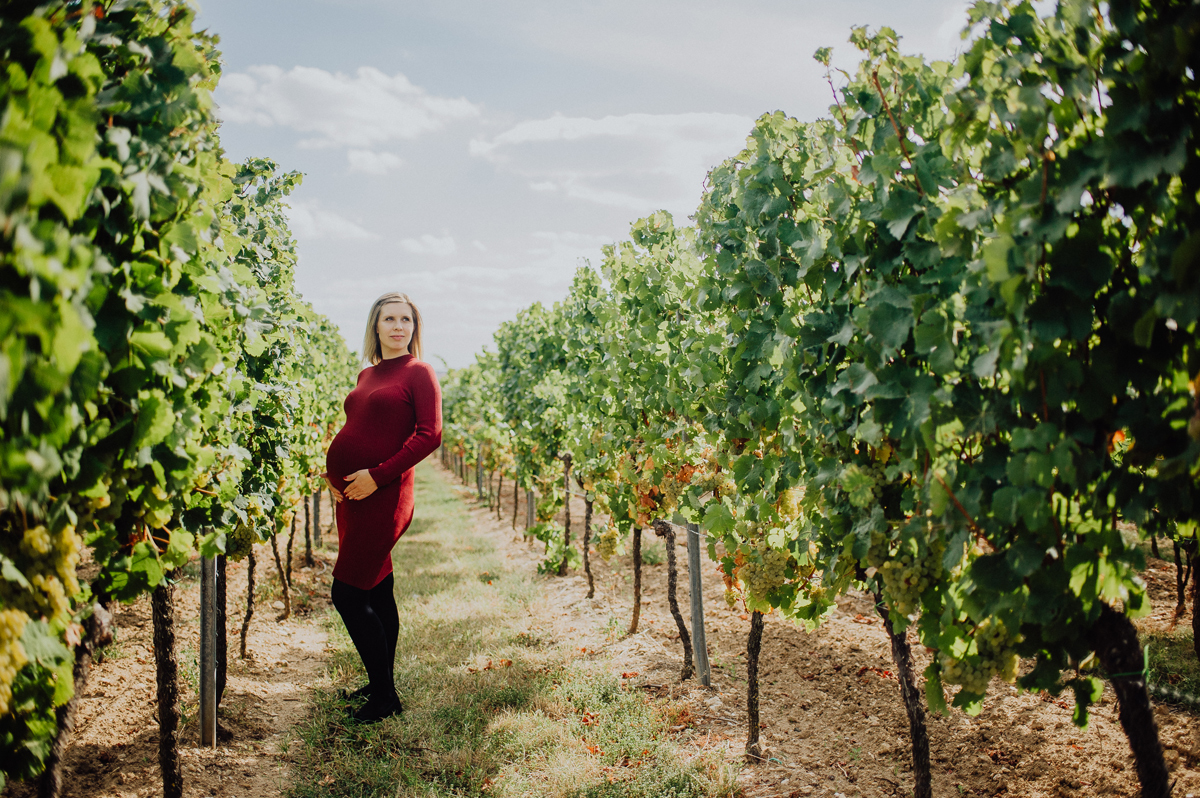 babybauch-weinberg-rotkleid-stehend-schwangerschaftsshooting-landstuhl.jpg