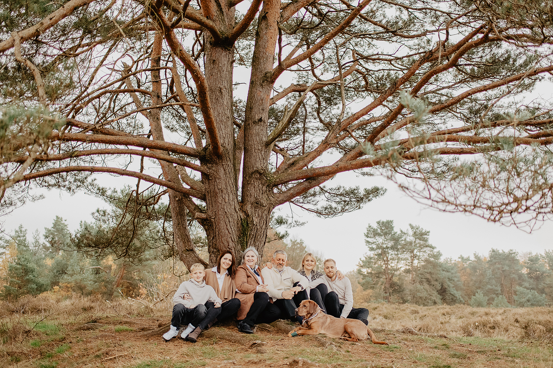 familienshooting-mehrgenerationen-baum-heide-sitzend-landstuhl.jpg